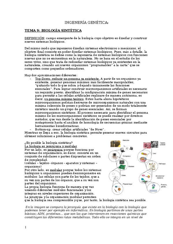 Miniatura del documento INGENERIA-GENETICA-parte-II-temas-9-13.docx