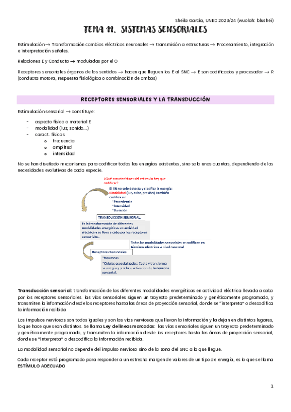 Miniatura del documento TEMA-11-Sistemas-Sensoriales.pdf
