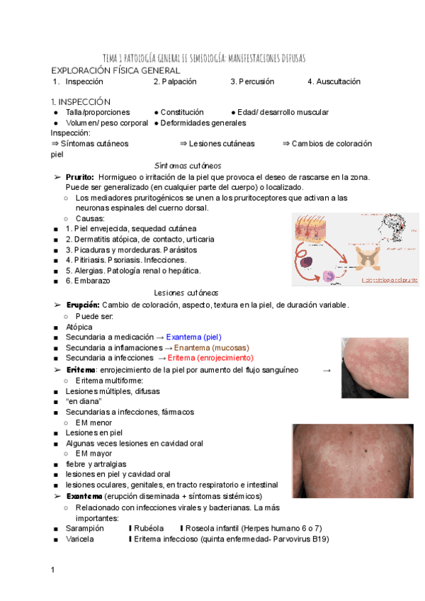 Miniatura del documento TEMA-1-PATOLOGIA-GENERAL-II.pdf