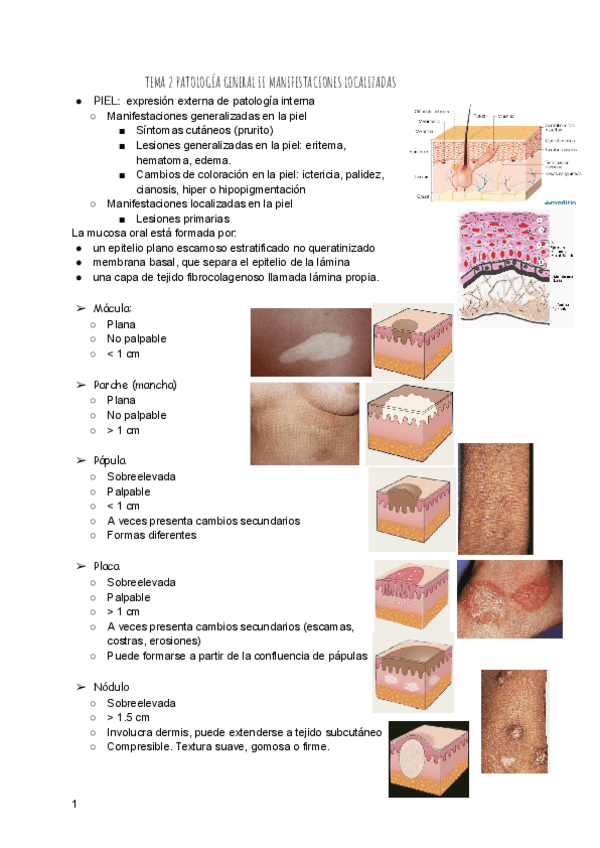 Miniatura del documento TEMA-2-PATOLOGIA-GENERAL-II.pdf