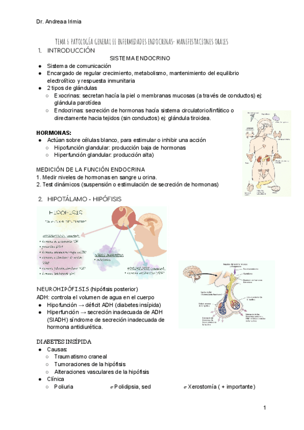 Miniatura del documento TEMA-6-PATOLOGIA-GENERAL-II-ANDREA.pdf