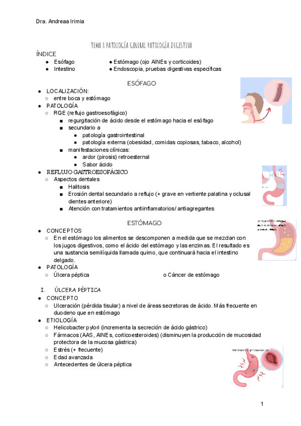 Miniatura del documento TEMA-8-PATOLOGIA-GENERAL-II.pdf