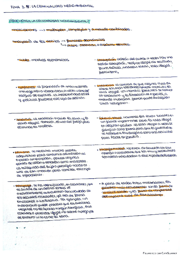Miniatura del documento T.3.4-CRIMINALIDAD-MEDIOAMBIENTAL..pdf