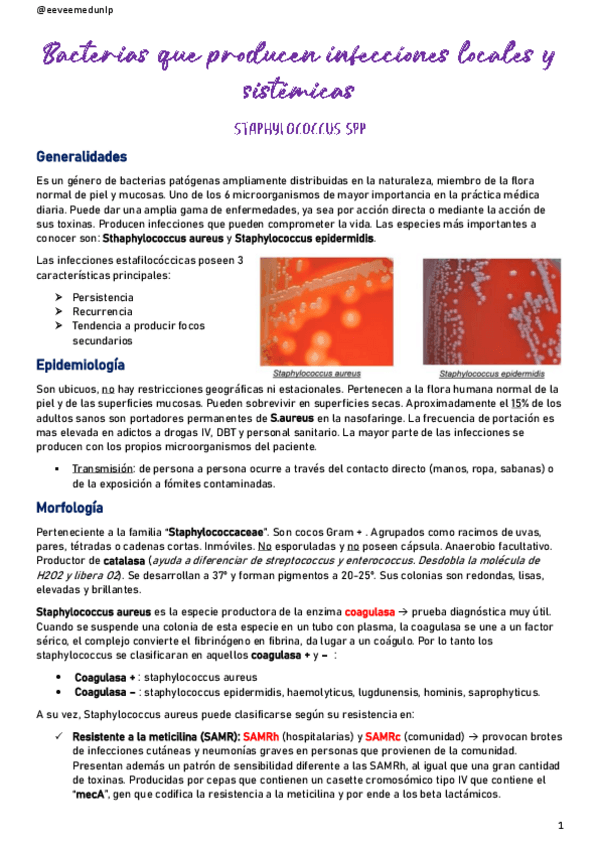 Miniatura del documento Bacterias-que-producen-infecciones-locales-y-sistemicas.pdf