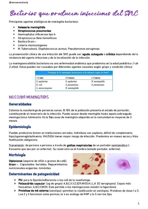 Miniatura del documento Bacterias-que-producen-infecciones-del-SNC.pdf