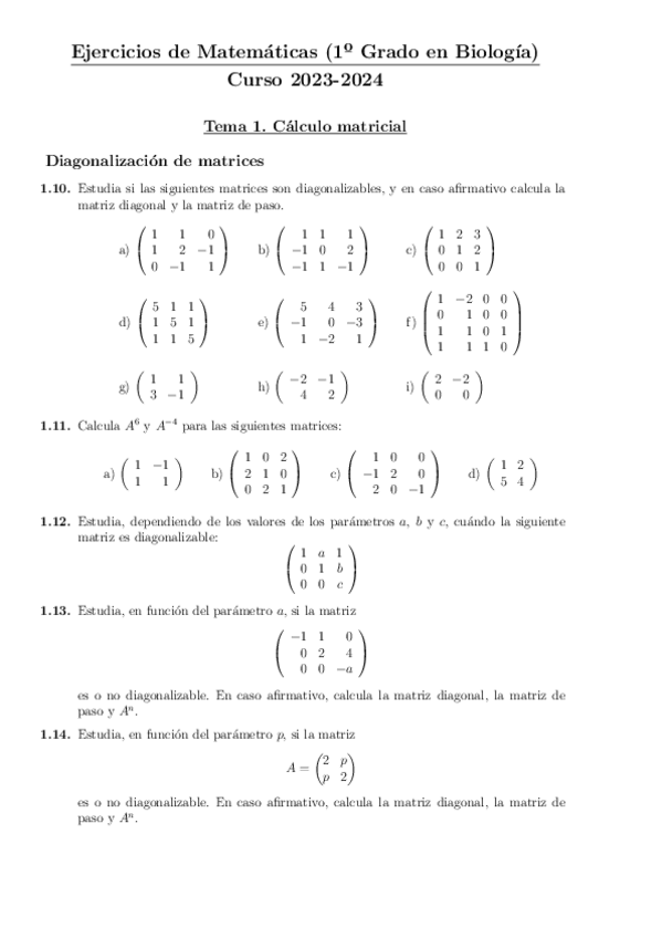 Miniatura del documento EjerciciosTema-1Hoja-2.pdf