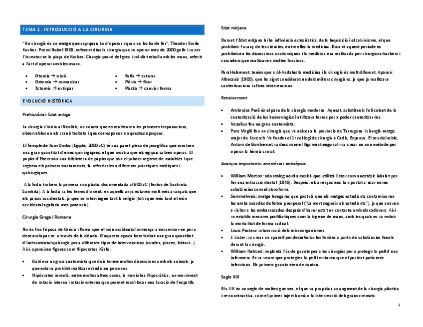 Miniatura del documento INTRO-CIRU-TOT.pdf