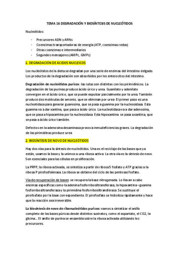 Miniatura del documento TEMA-16-DEGRADACION-Y-BIOSINTESIS-DE-NUCLEOTIDOS.pdf