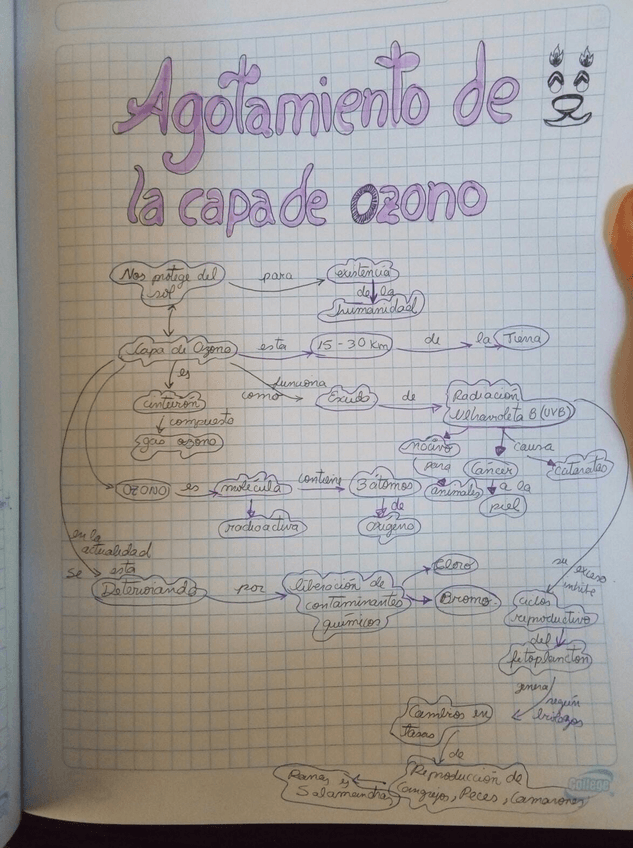 Miniatura del documento S10Agotamiento-de-la-capa-de-ozono.jpeg