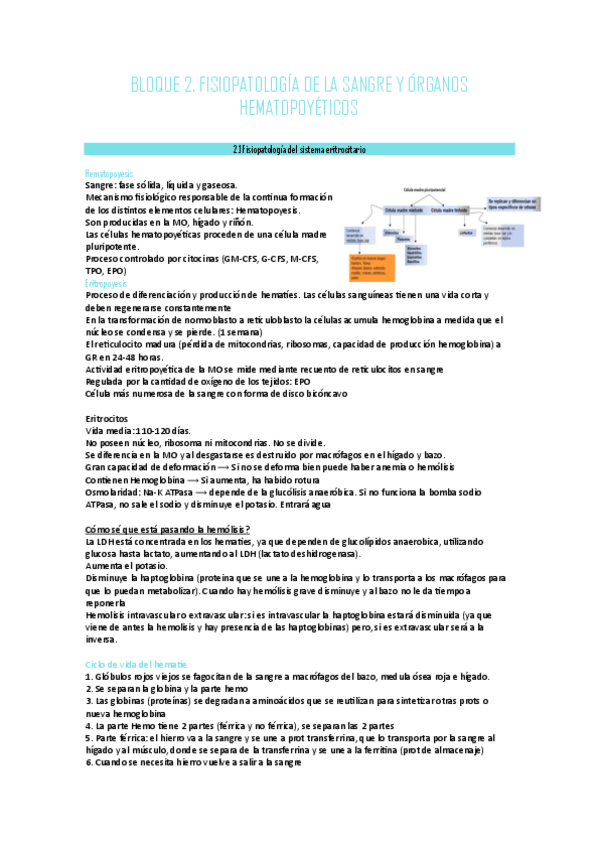 Miniatura del documento APUNTES-FISIOPATOLOGIA-BLOQUE-2.pdf
