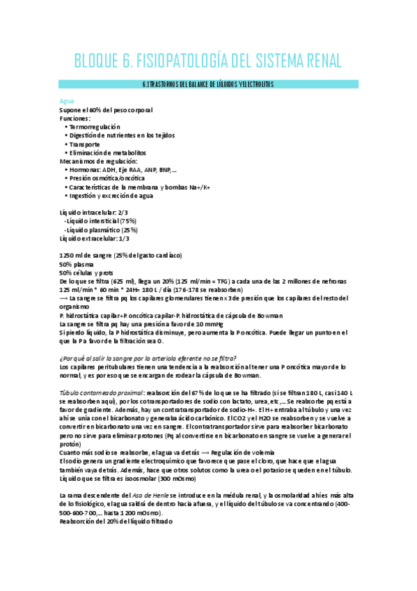 Miniatura del documento BLOQUE-6.-FISIOPATOLOGIA-RENAL.pdf