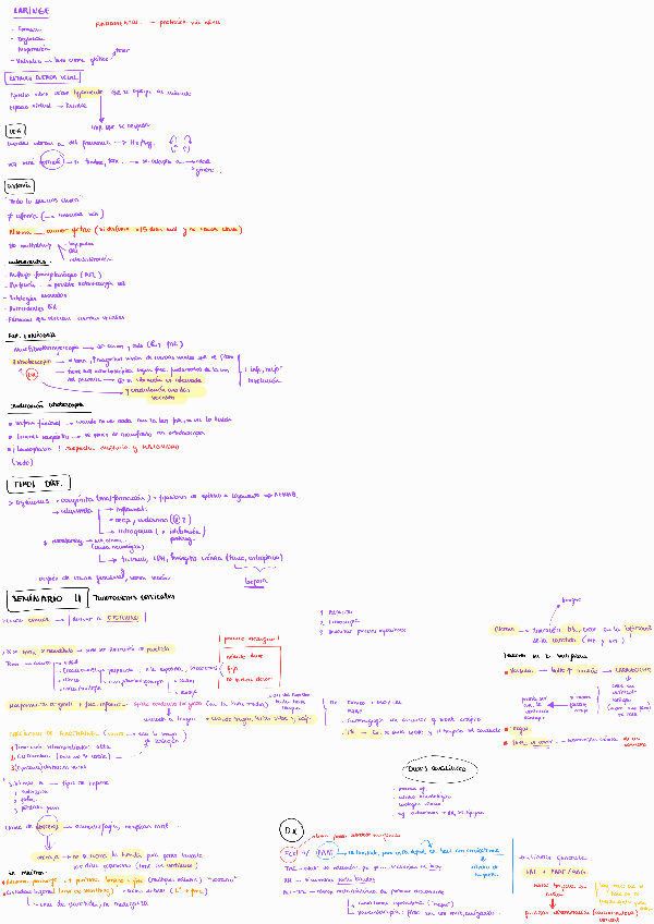 Miniatura del documento Seminarios-2h-otorrino.pdf