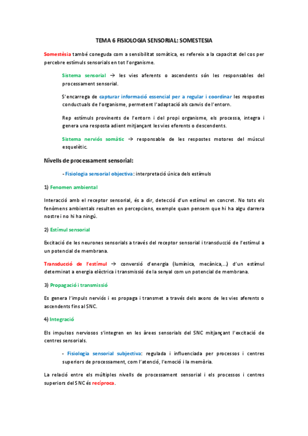 Miniatura del documento tema-6-somestesia.pdf