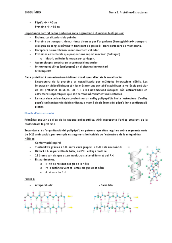Miniatura del documento Tema-3-Proteines-estructues.pdf