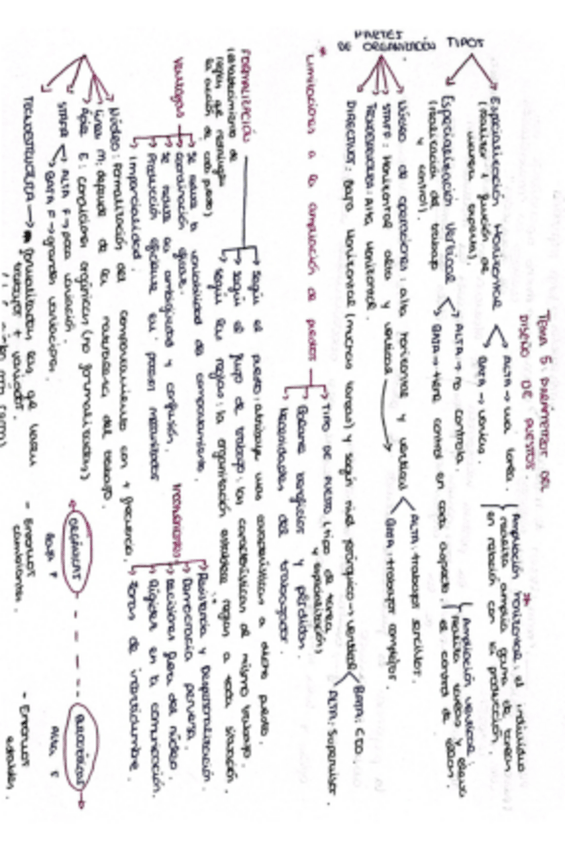 Miniatura del documento esquemas-tema-5-6-8-teoria.pdf