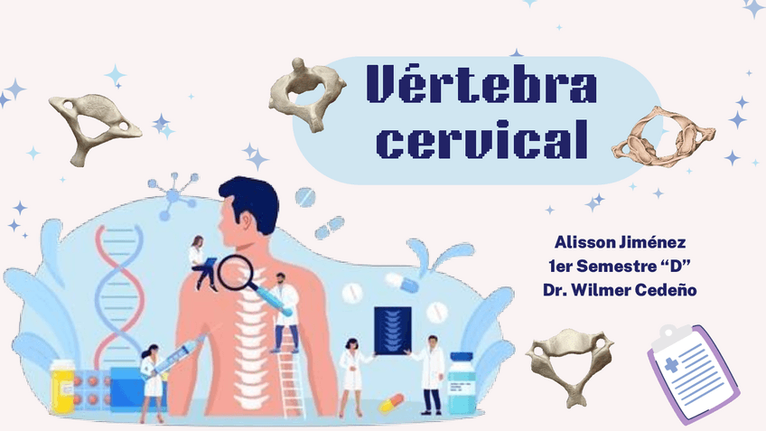 Miniatura del documento PPT-VERTEBRAS-CERVICALES.pdf