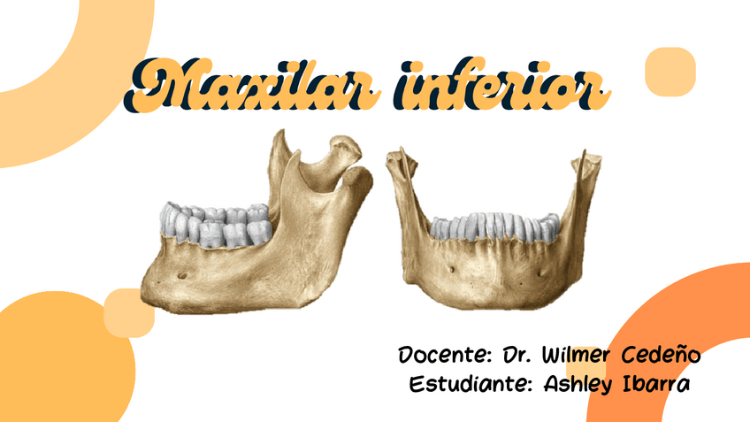 Miniatura del documento Maxilar-inferior.pdf