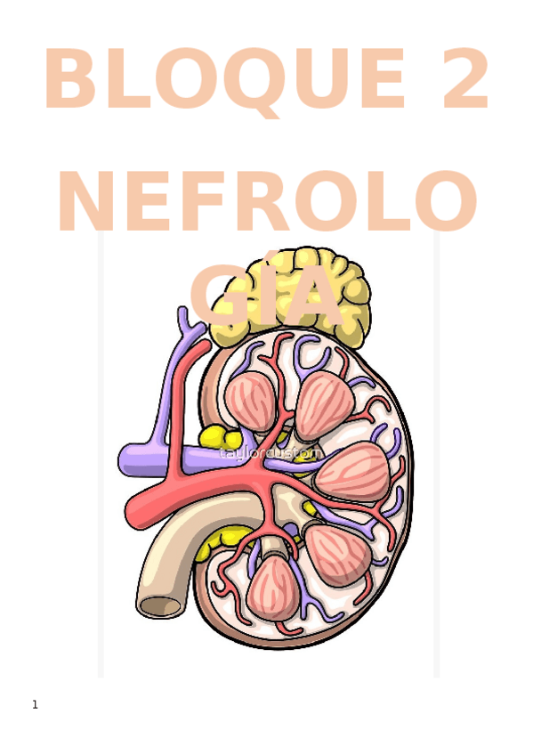 Miniatura del documento NEFRO.docx