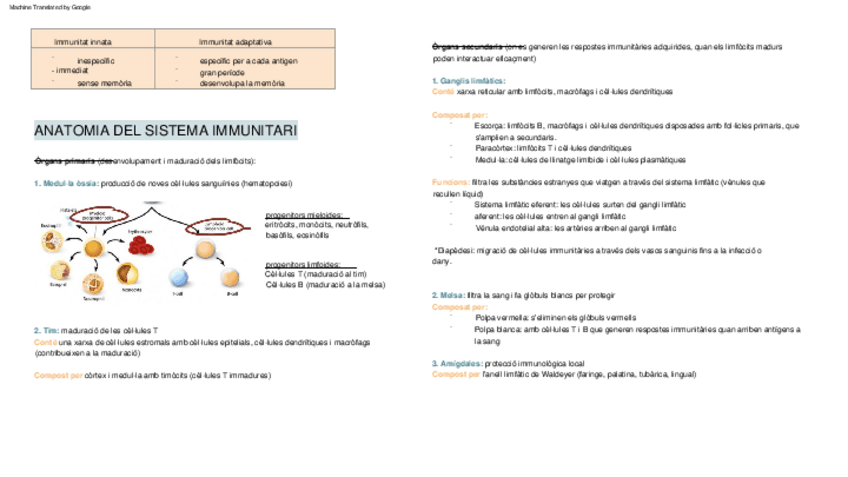 Miniatura del documento resum-immuno-4-5-traduits.pdf