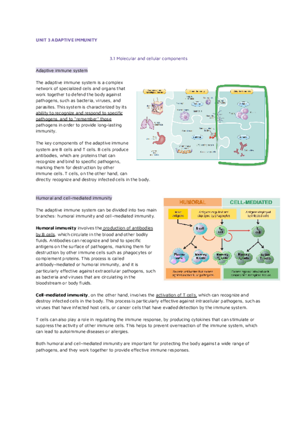 Miniatura del documento UNIT-3-ADAPTIVE-IMMUNITY.pdf