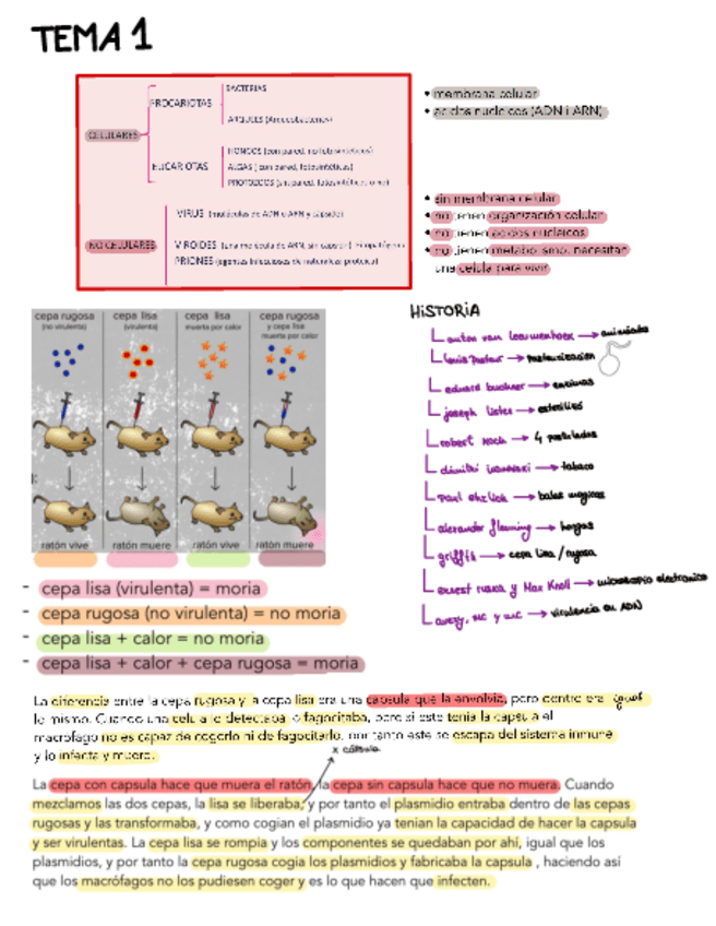 Miniatura del documento resumen-importante-parte-1.pdf