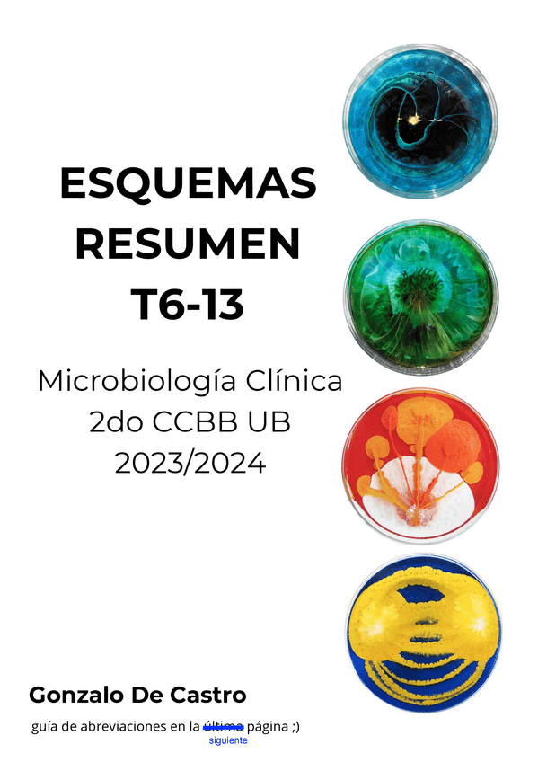 Miniatura del documento esquemasMBCGDCT.pdf