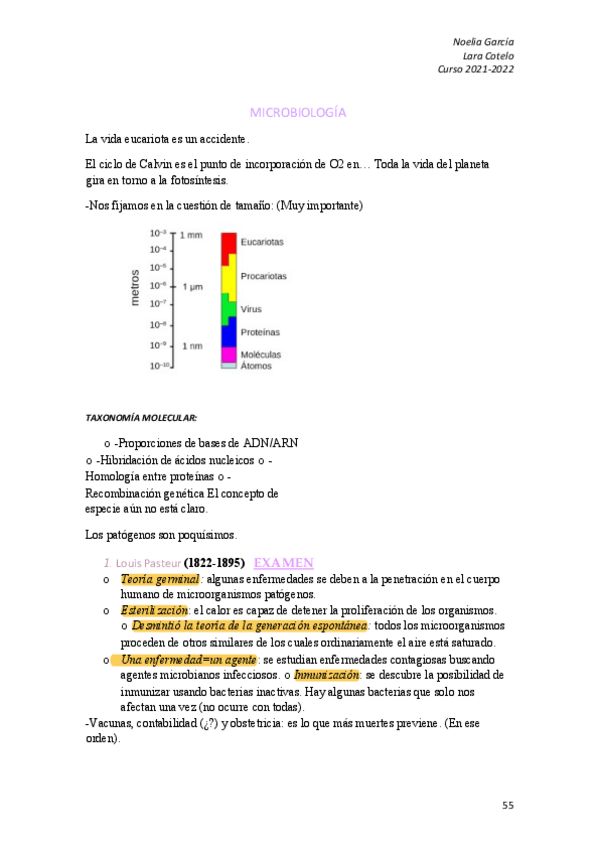 Miniatura del documento Microbiologia.pdf