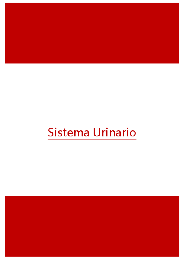 Miniatura del documento Urinario.pdf