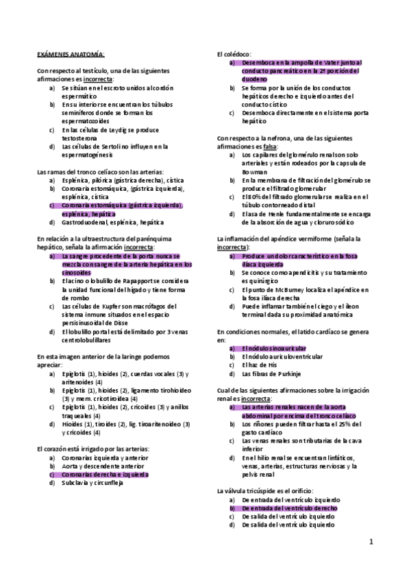 Miniatura del documento examen-conjunto.pdf