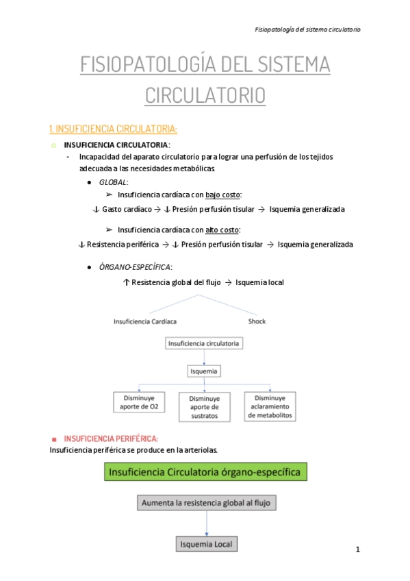 Miniatura del documento Fisiopatologia-del-sistema-circulatorio.pdf