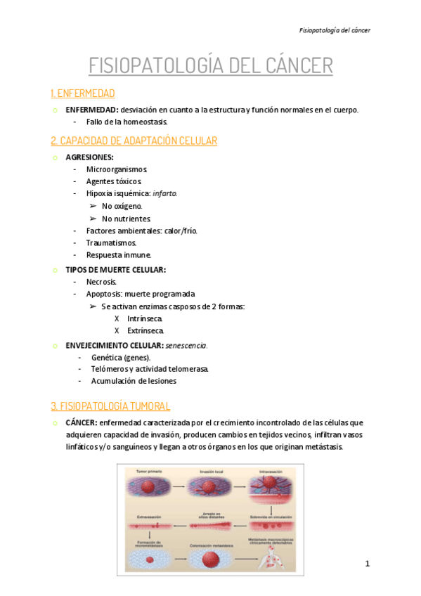 Miniatura del documento Fisopatologia-del-cancer.pdf