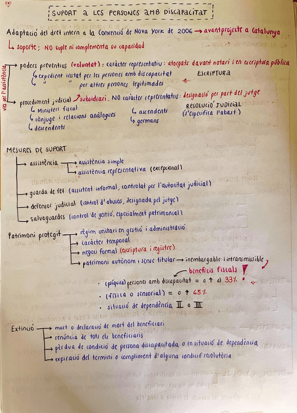 Miniatura del documento esquema-suport-amb-persones-amb-discapacitat.pdf