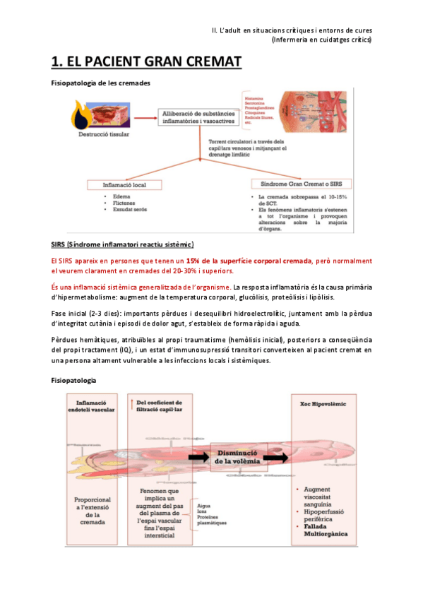 Miniatura del documento 2.-Ladult-en-situacions-critiques-i-entorns-de-cures.pdf