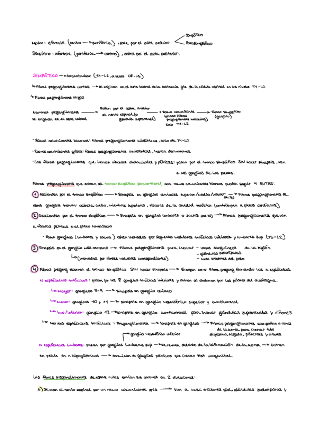 Miniatura del documento Inervacion.pdf