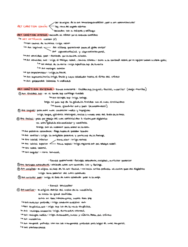 Miniatura del documento Irrigacion-Cuello.pdf