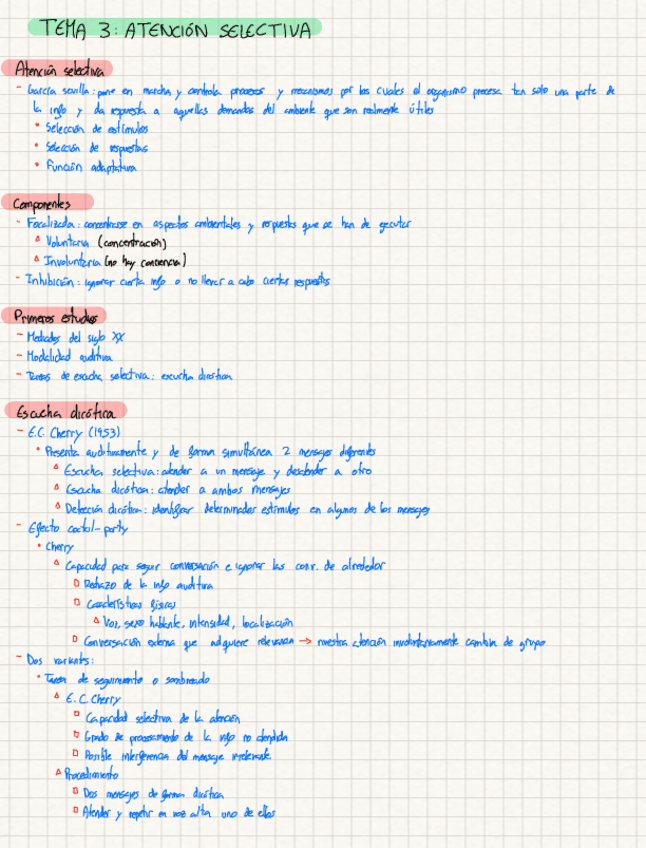 Miniatura del documento Tema-3-atencion-Sandra.pdf