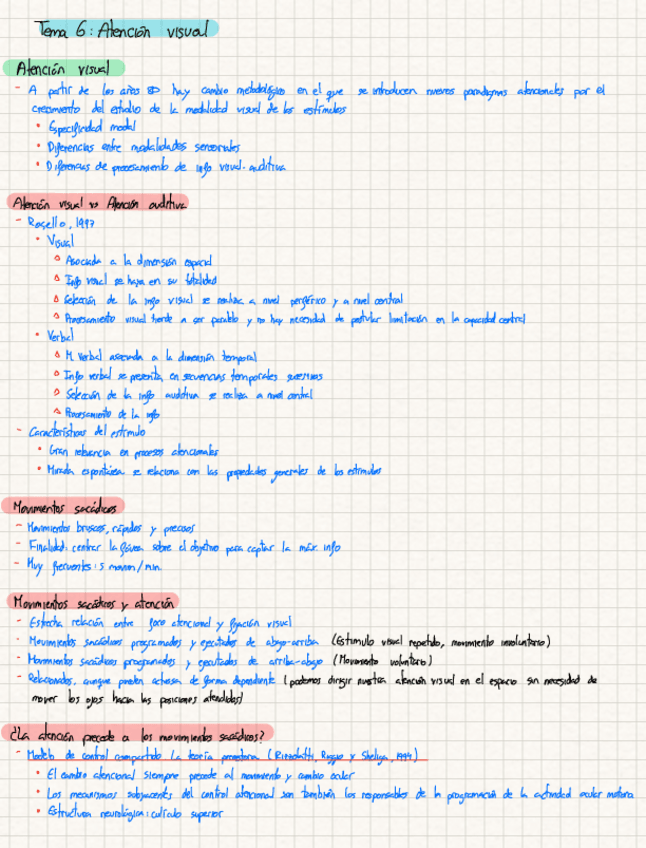 Miniatura del documento Tema-6-atencion-Sandra.pdf