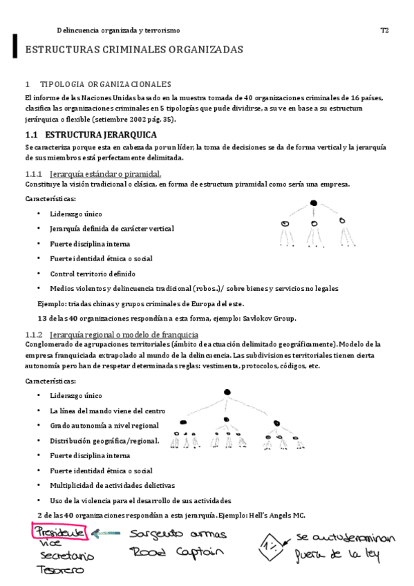 Miniatura del documento T2ESTRUCTURASCRIMINALESORGANIZADAS.pdf