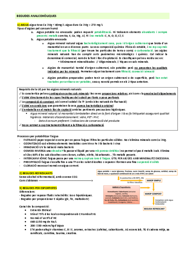 Miniatura del documento Resum-begudes.pdf