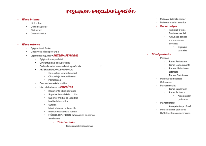 Miniatura del documento VASCULARIZACION-EXTREMIDAD-INFERIOR.pdf