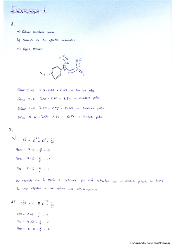 Miniatura del documento Entrega-1.-Organica.pdf