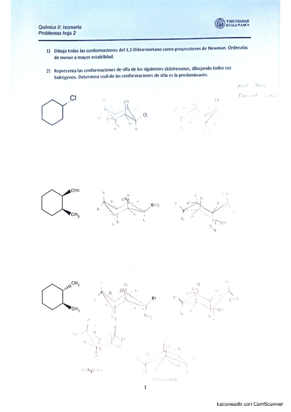Miniatura del documento Hoja-2-Isomeria.-Organica.pdf