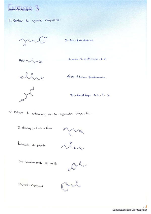 Miniatura del documento Entrega-3.-Organica.pdf