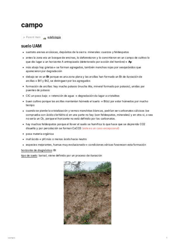 Miniatura del documento campo.pdf