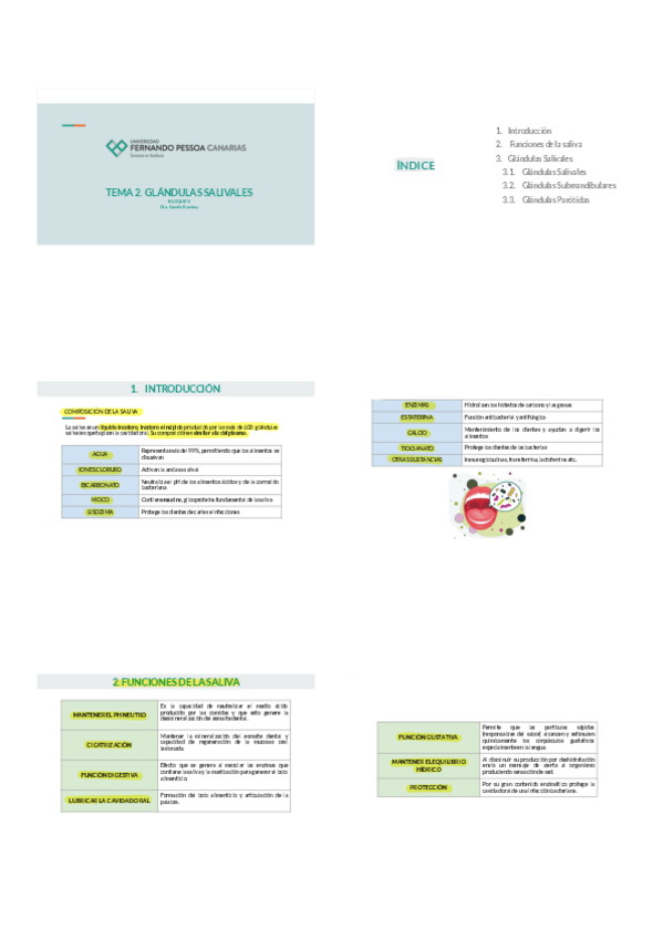 Miniatura del documento glandulas-salivales.pdf