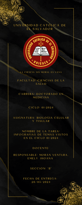 Miniatura del documento Infografias-Histologia-de-roos.pdf