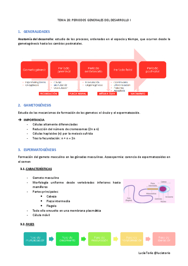 Miniatura del documento EyF-I-20-Periodos-generales-del-desarrollo-I.pdf