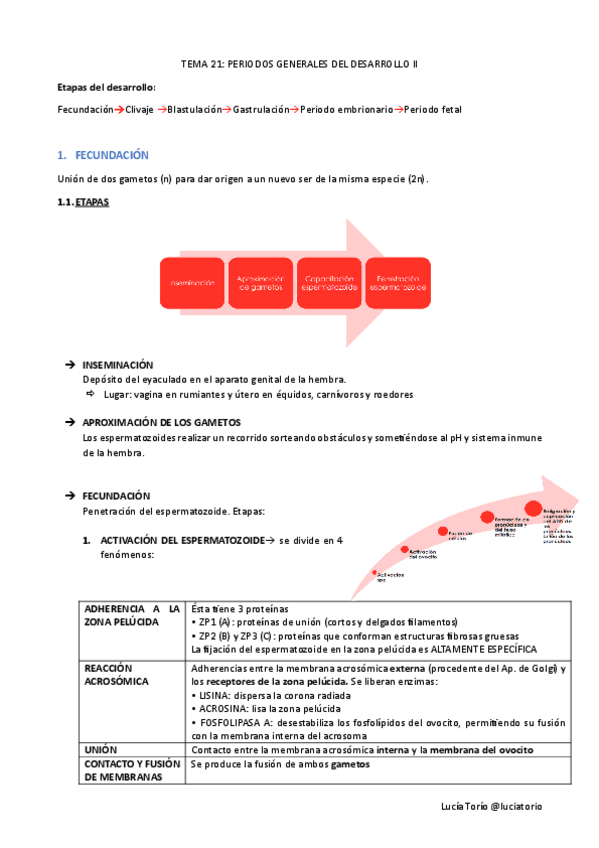 Miniatura del documento EyF-I-21-Periodos-generales-del-desarrollo-II.pdf