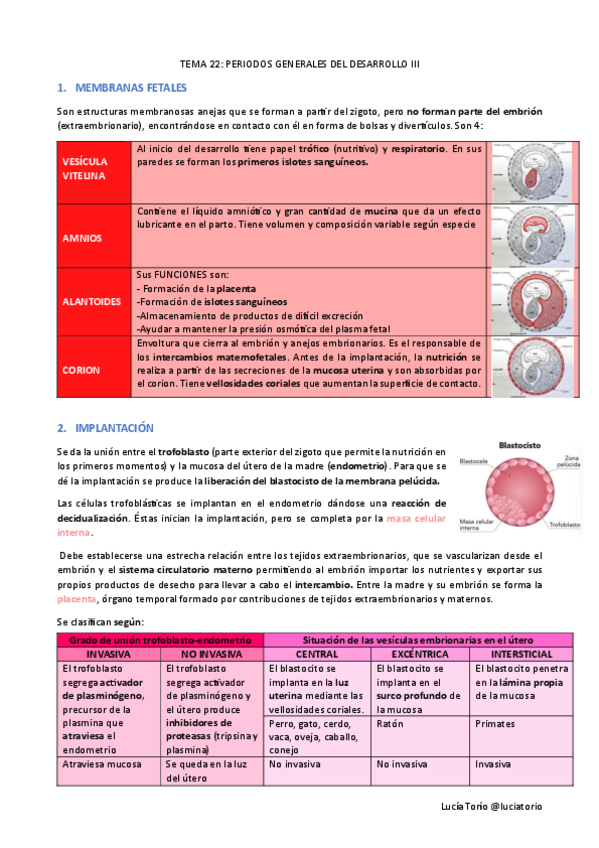 Miniatura del documento Eyf-I-22-Periodos-generales-del-desarrollo-III.pdf