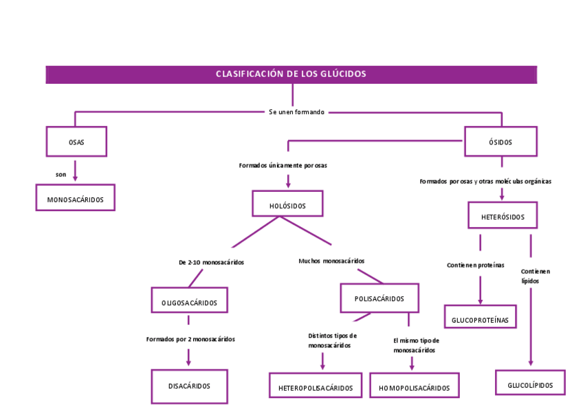 Miniatura del documento CLASIFICACION-DE-LOS-GLUCIDOS.pdf